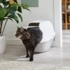 Frisco Modern Hooded Cat Litter Box