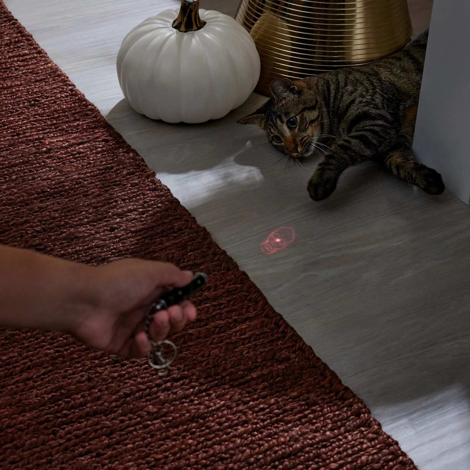 Frisco Halloween Skull Laser Cat Toy - Image 4