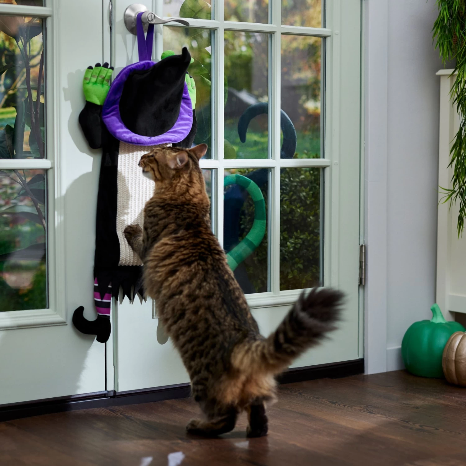 Frisco Halloween Witch Doorknob Hanger Cat Toy With Catnip - Image 4
