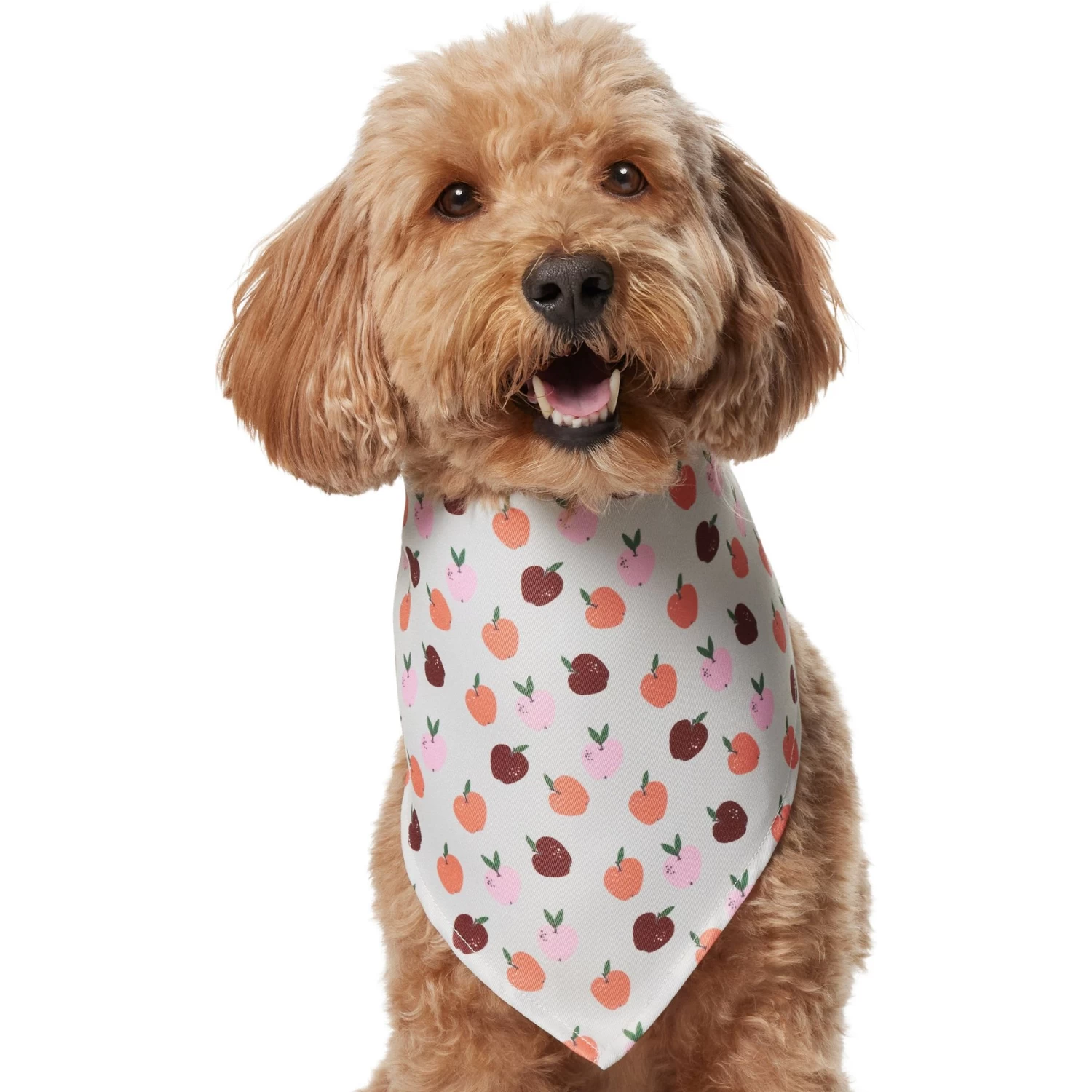 Frisco Apple Dog & Cat Bandana - Image 3