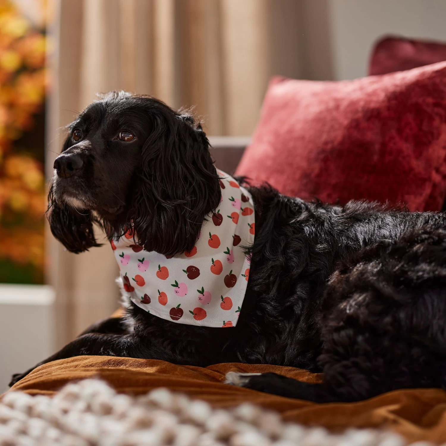 Frisco Apple Dog & Cat Bandana - Image 7