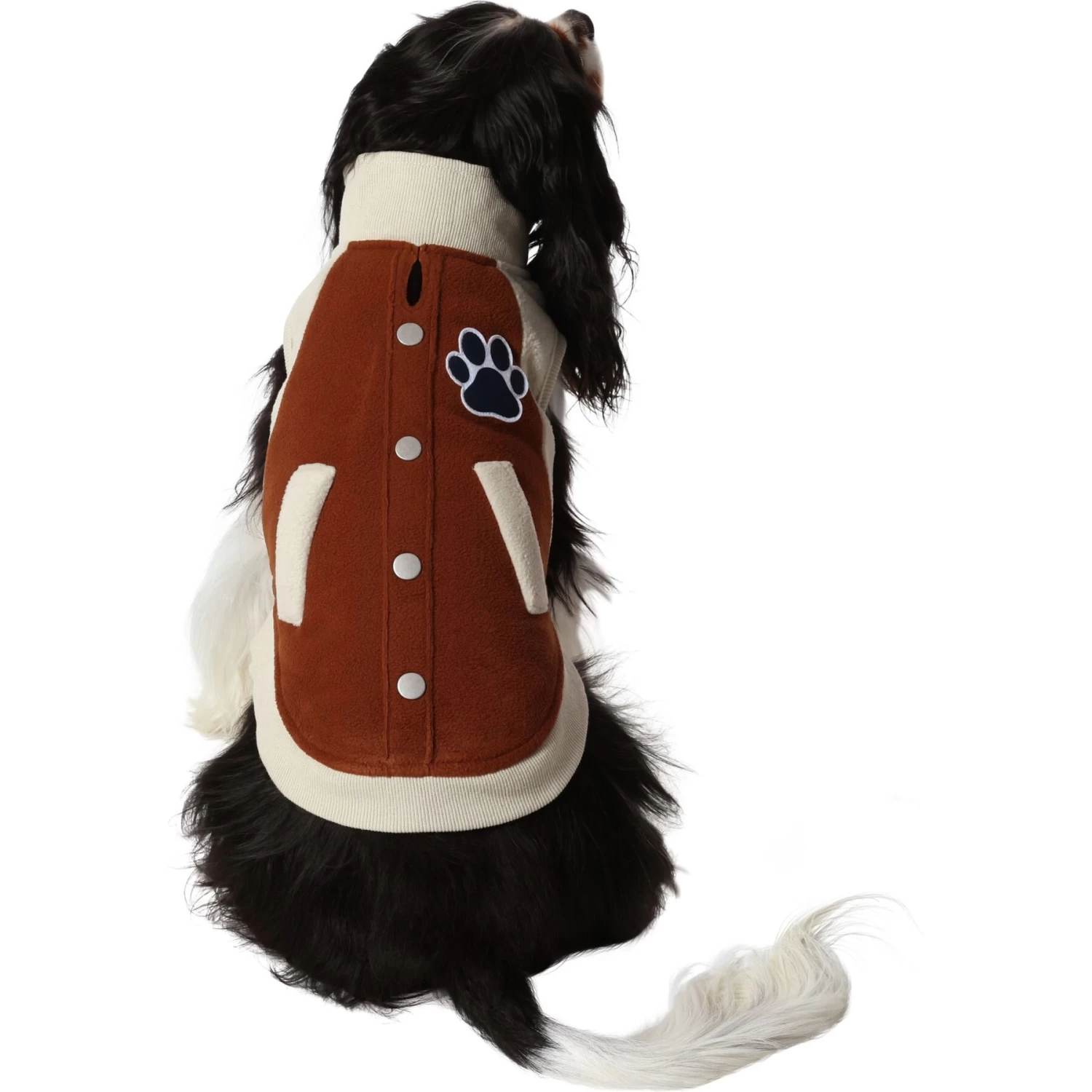 Frisco Lightweight Varsity Dog & Cat Jacket - Image 3