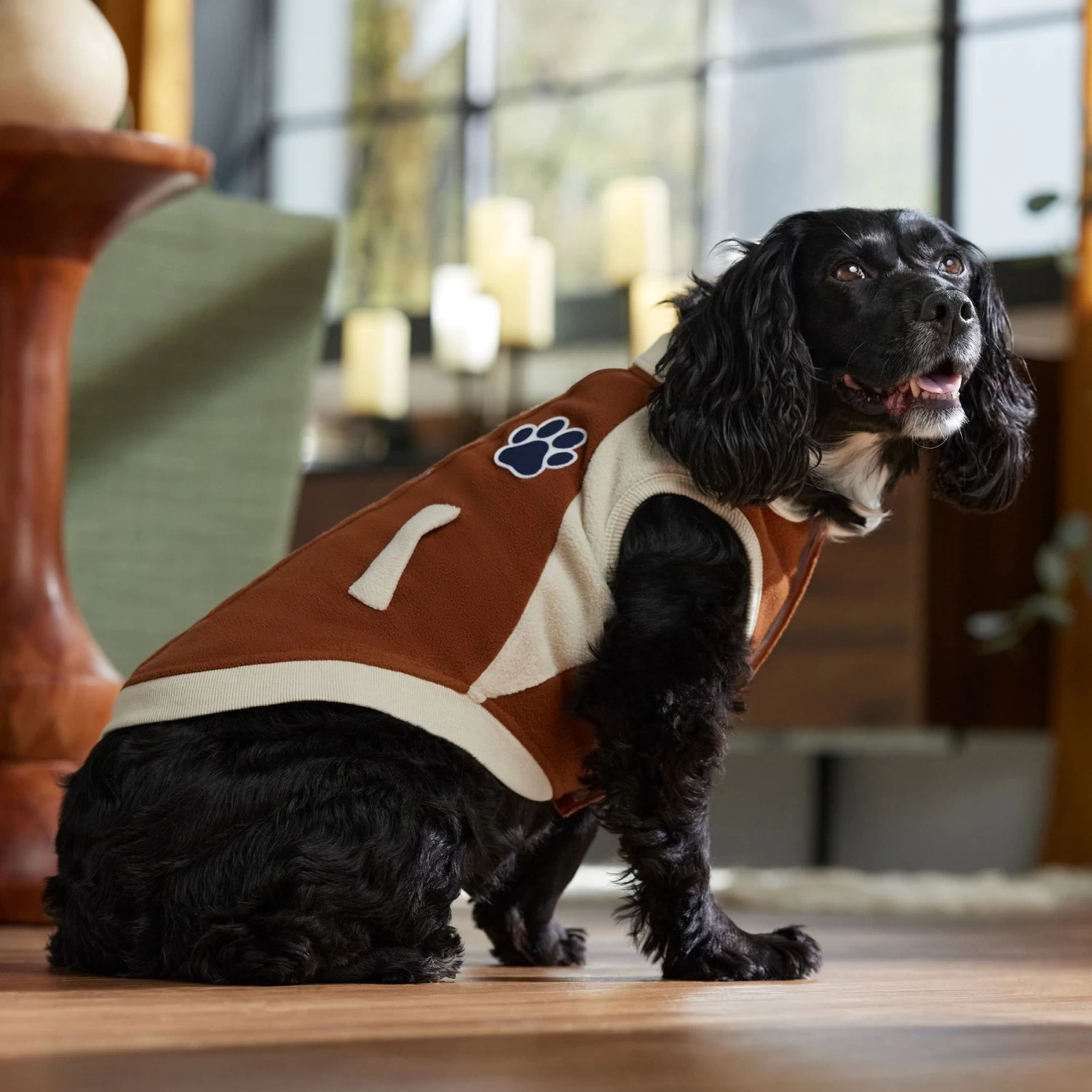 Frisco Lightweight Varsity Dog & Cat Jacket - Image 7