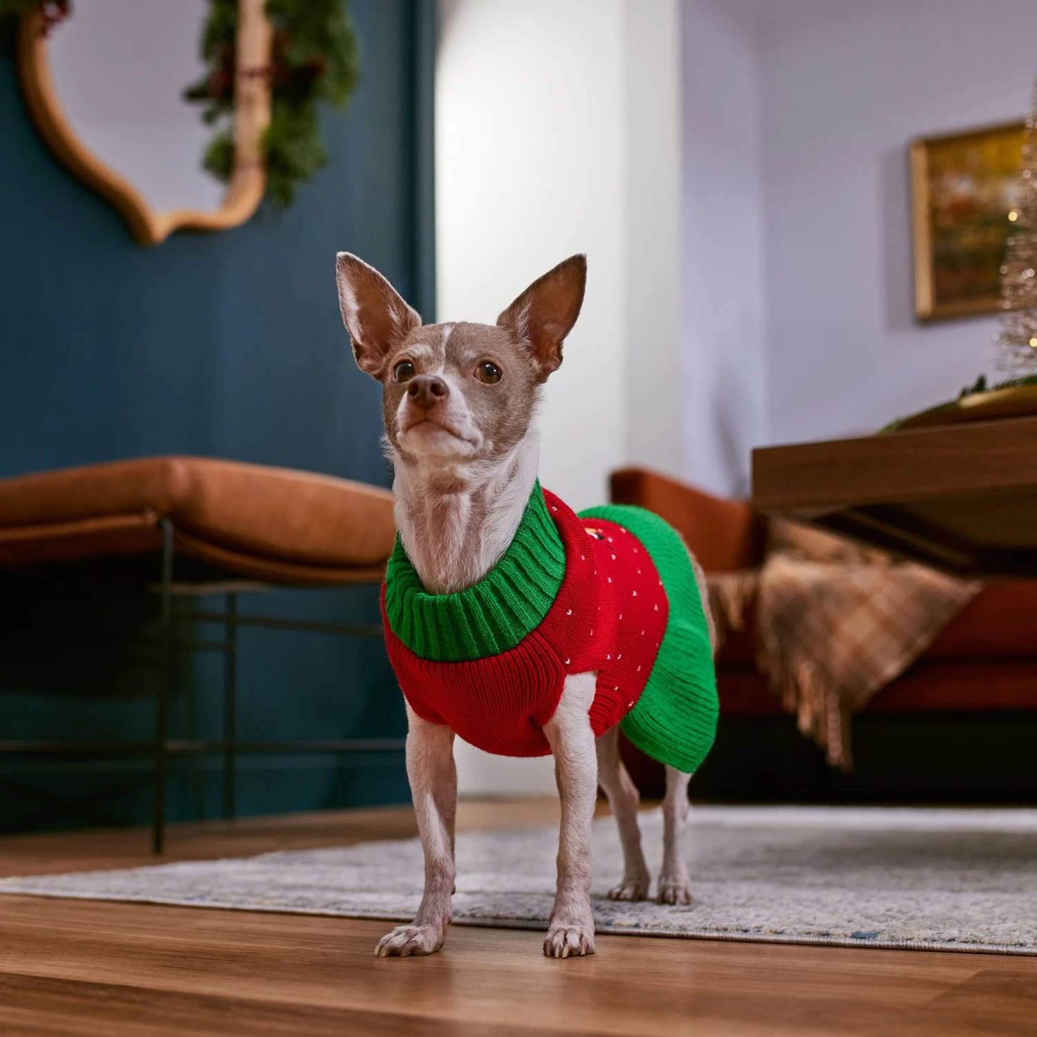 Frisco Penguin Dog & Cat Sweater Dress - Image 7