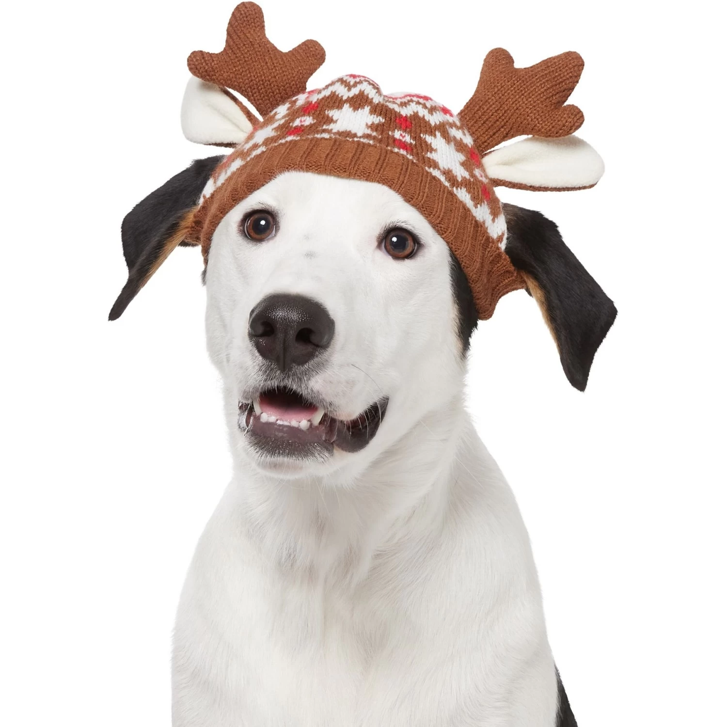 Frisco Antler Fair Isle Dog & Cat Hat - Image 3