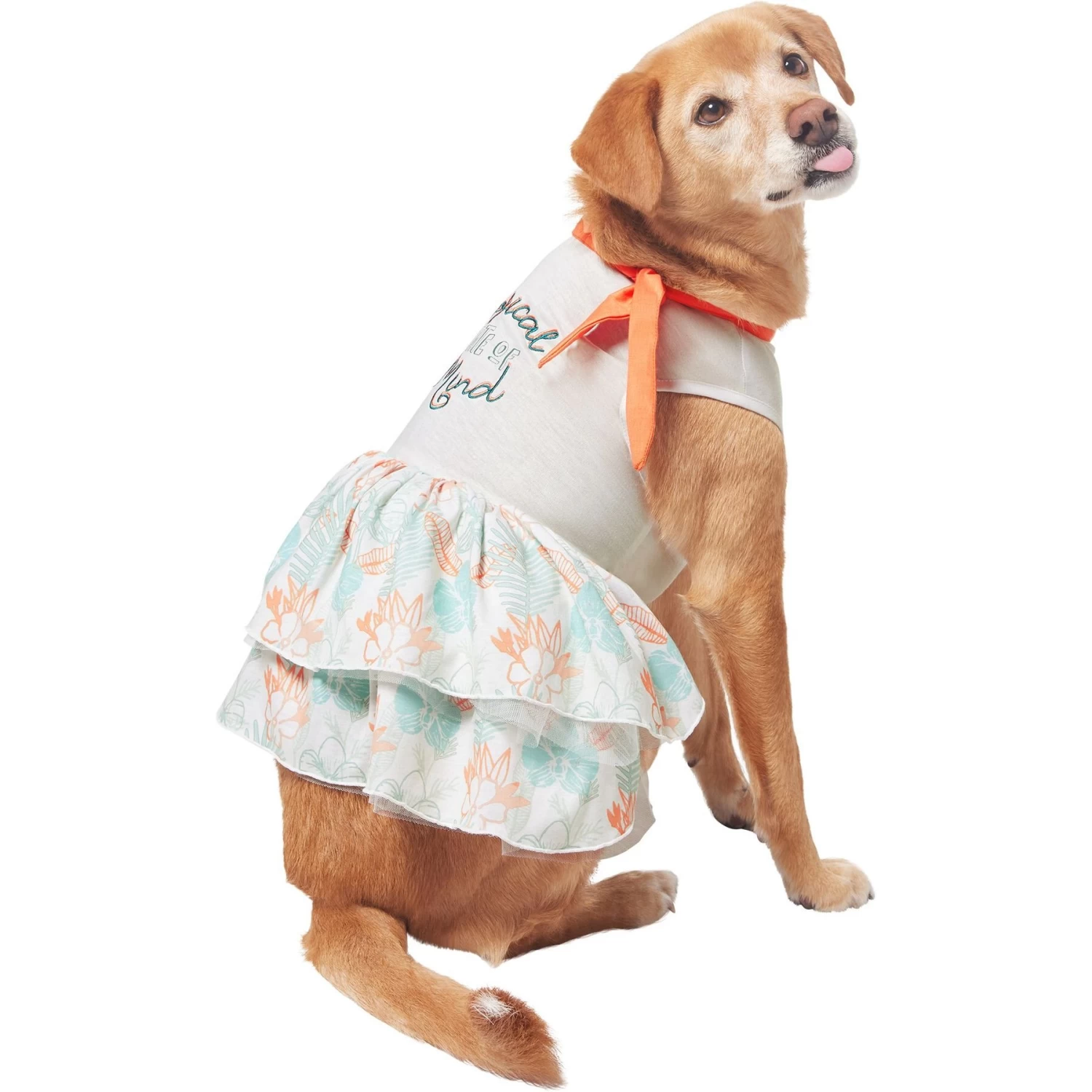 Frisco Tropical State Of Mind Dog & Cat Dress - Image 4