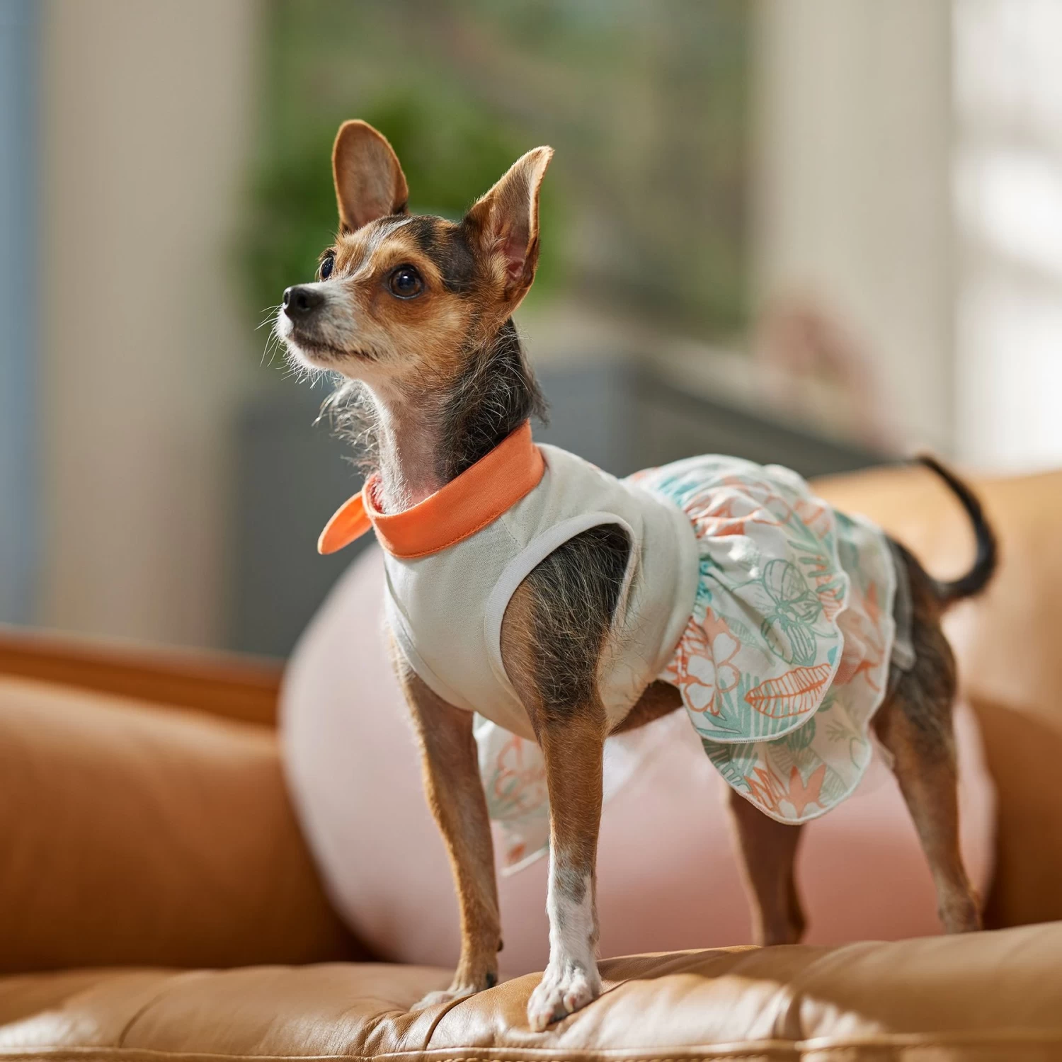 Frisco Tropical State Of Mind Dog & Cat Dress - Image 6