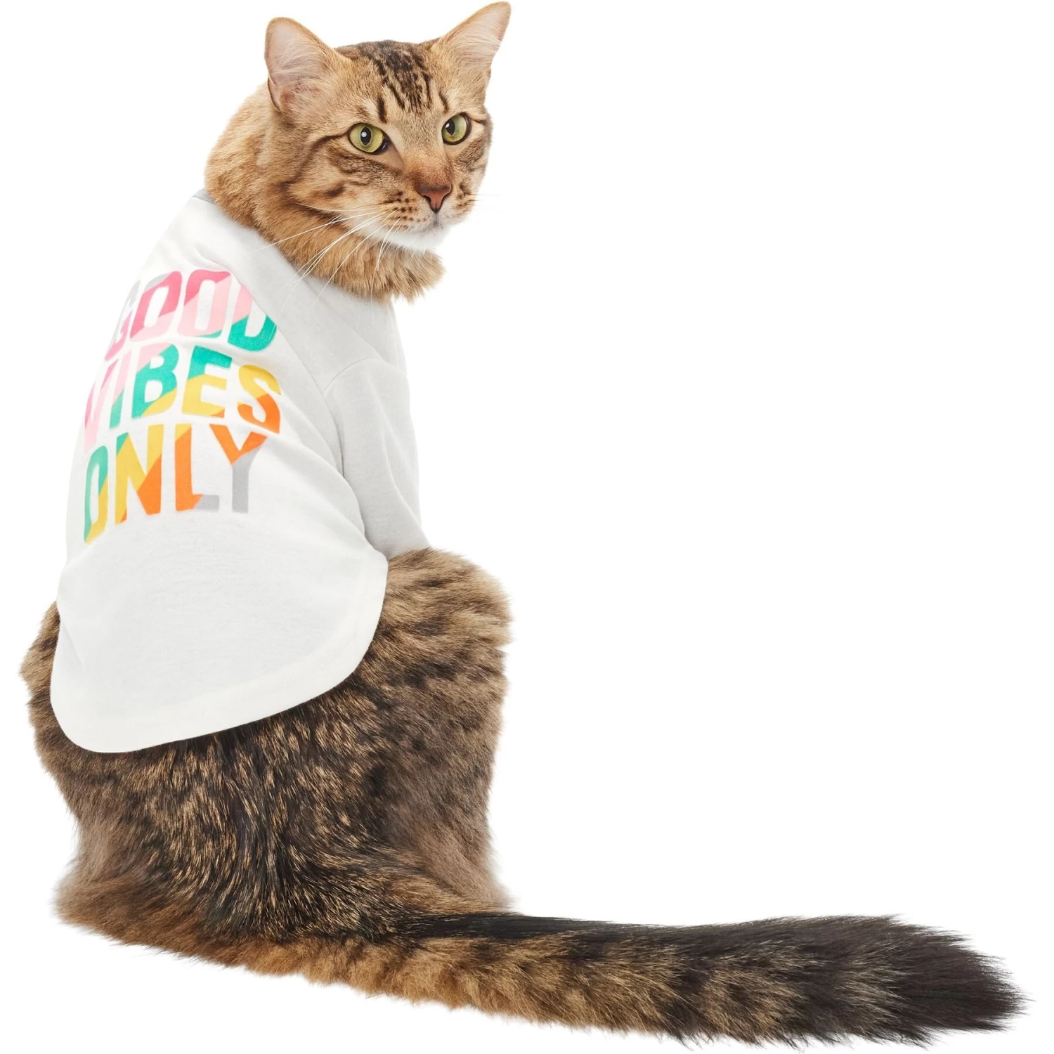 Frisco Good Vibes Only Dog & Cat T-Shirt - Image 3