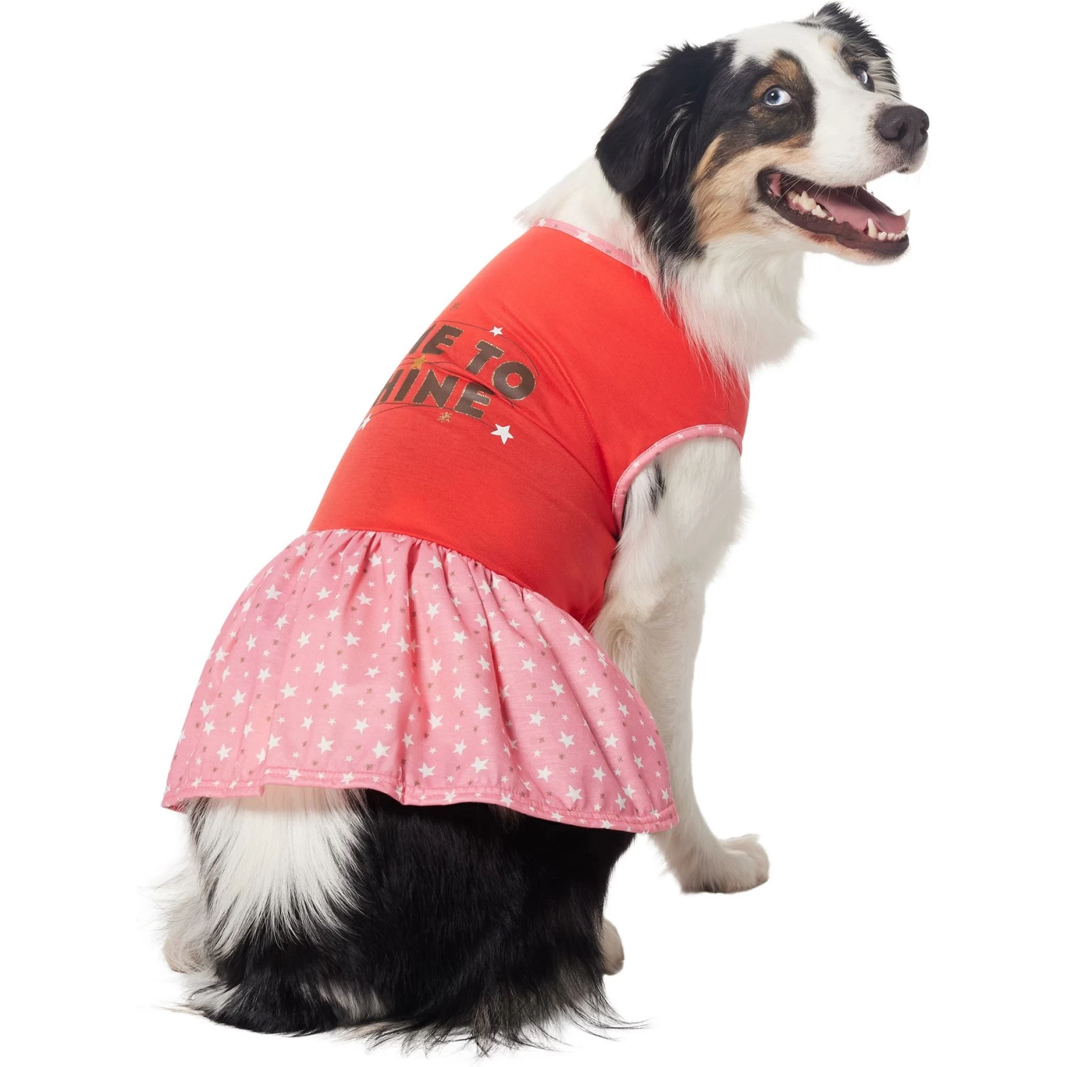 Frisco Time To Shine Dog & Cat Dress - Image 4