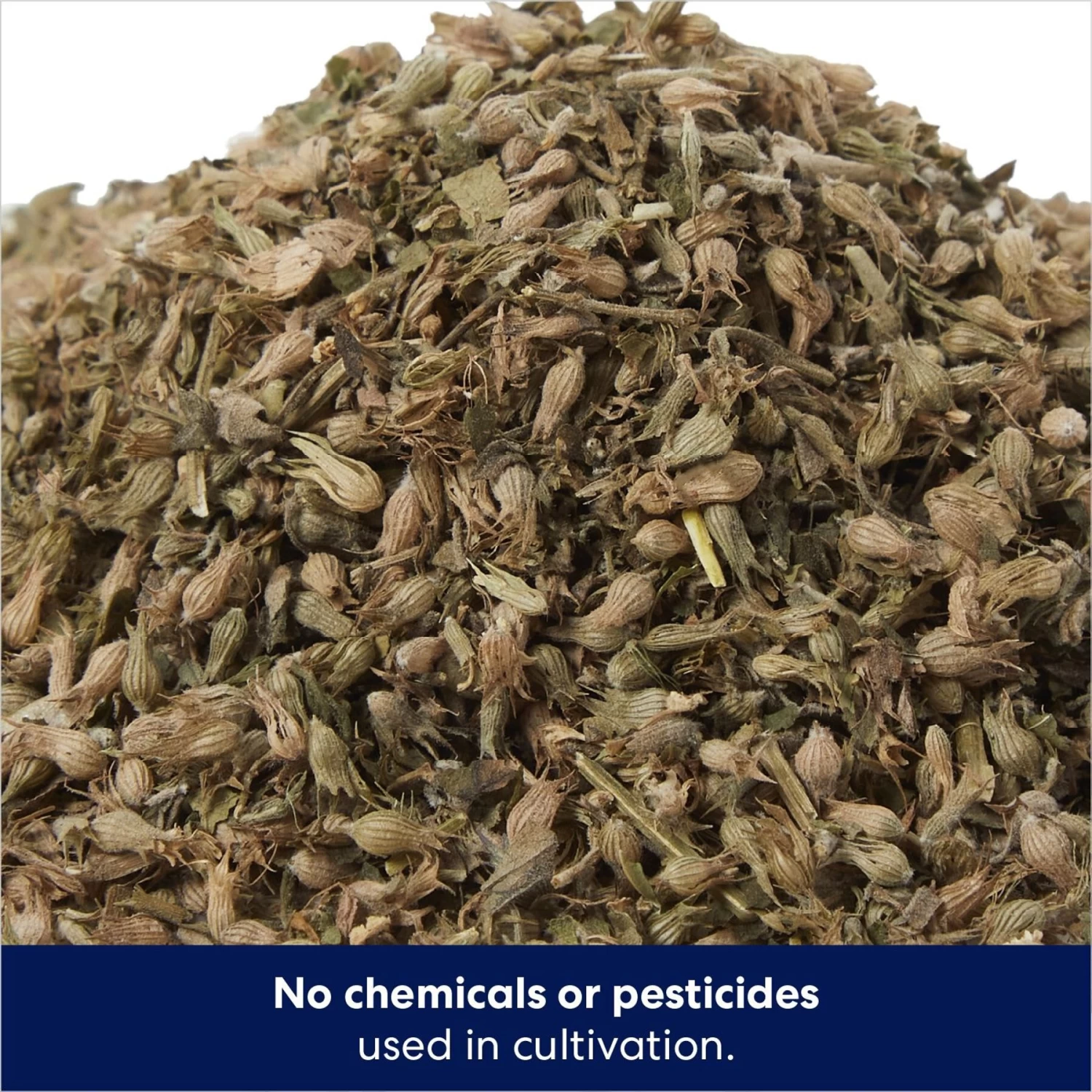 Frisco Natural Catnip & Frisco Bird With Feathers Teaser Wand Cat Toy With Catnip - Image 5