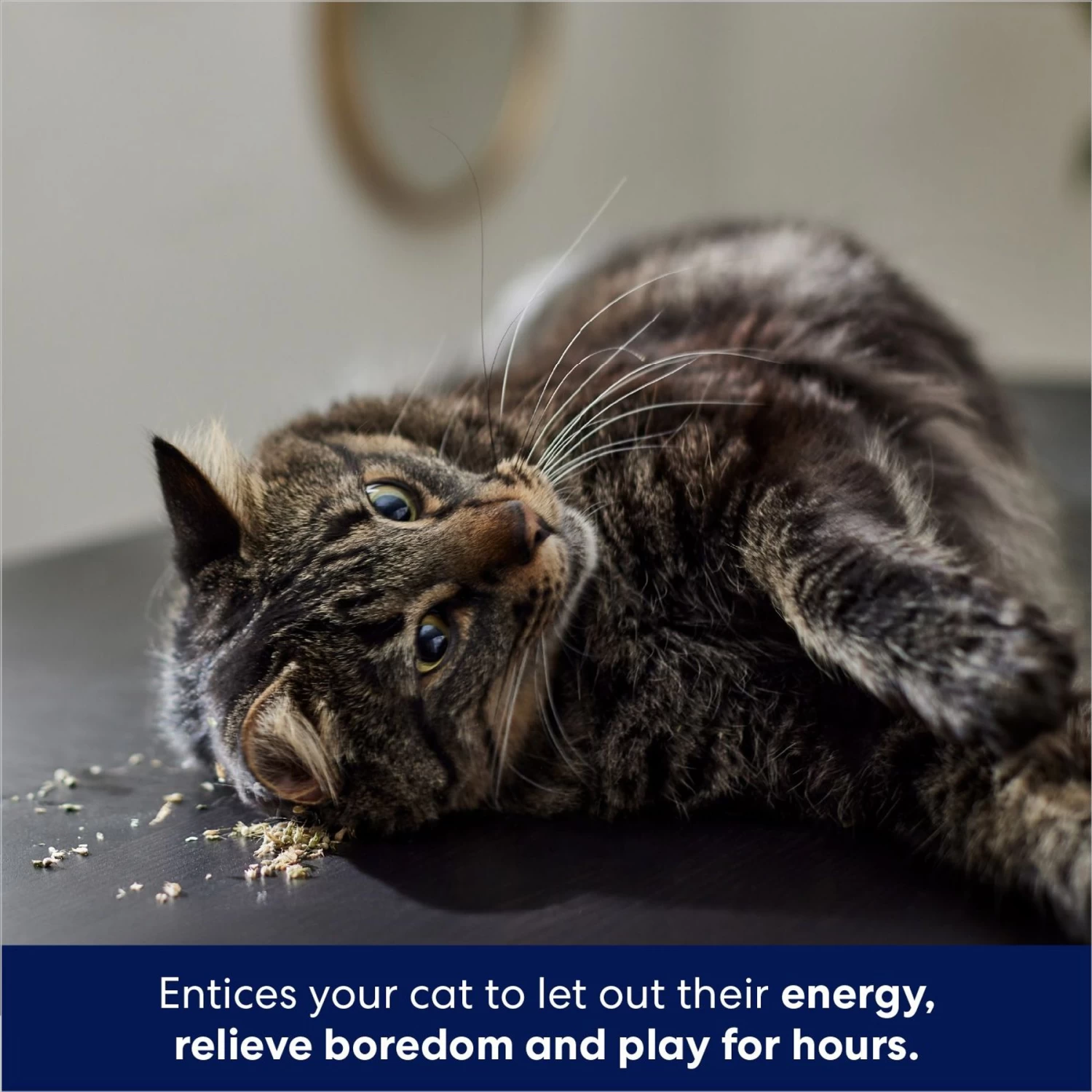 Frisco Natural Catnip & Frisco Bird With Feathers Teaser Wand Cat Toy With Catnip - Image 6