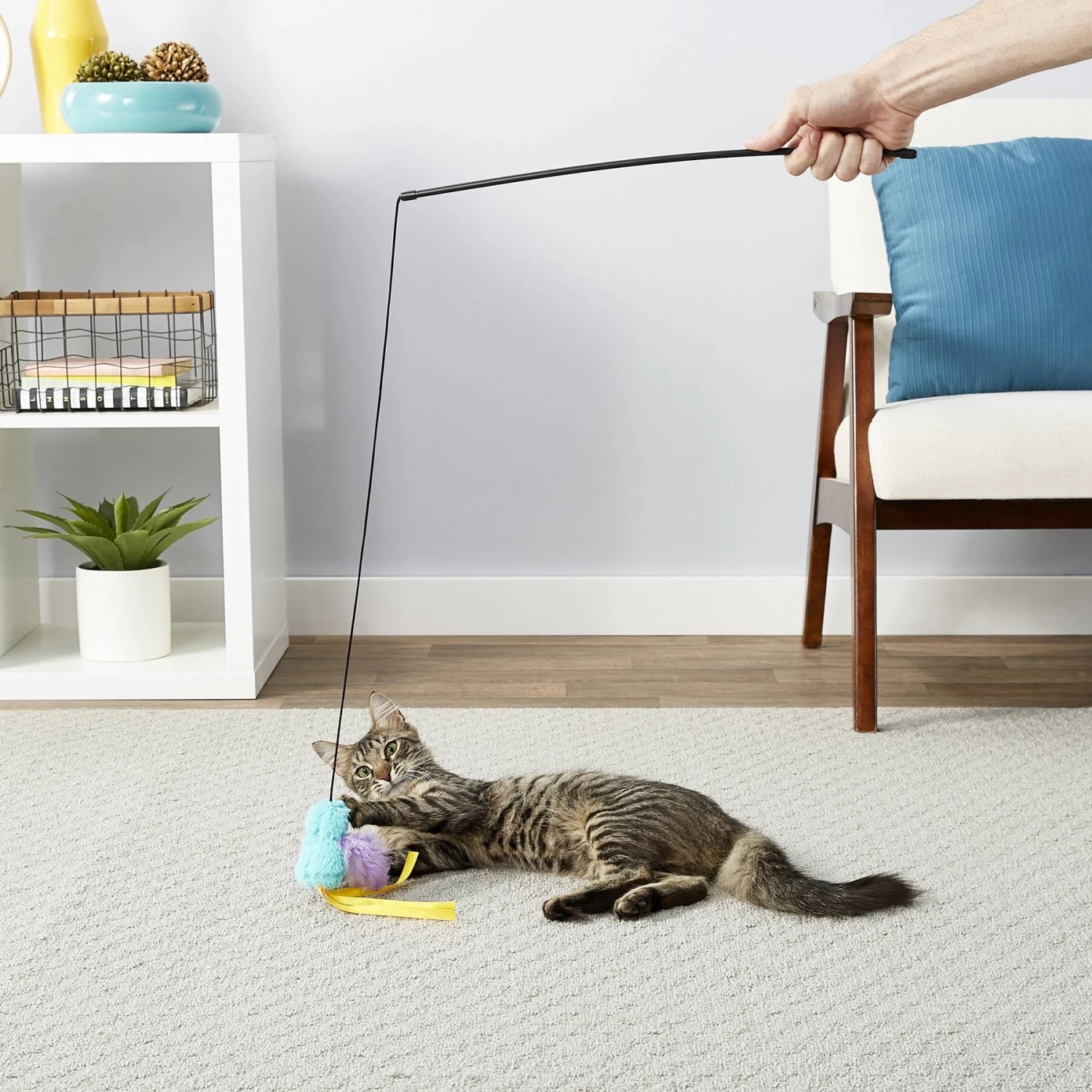 Frisco Natural Catnip & Frisco Bird With Feathers Teaser Wand Cat Toy With Catnip - Image 9