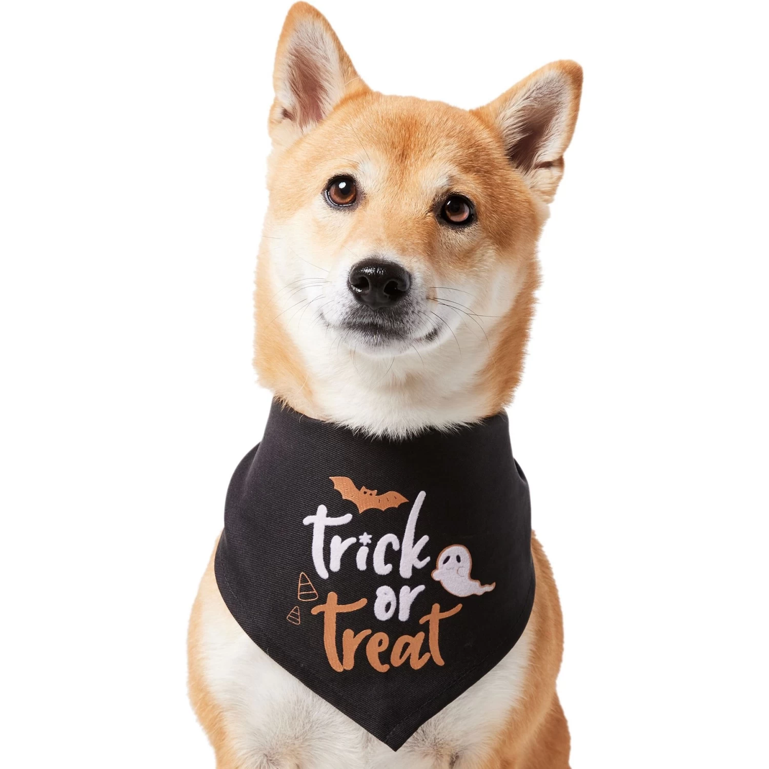 Frisco Trick Or Treat Dog & Cat Bandana - Image 3