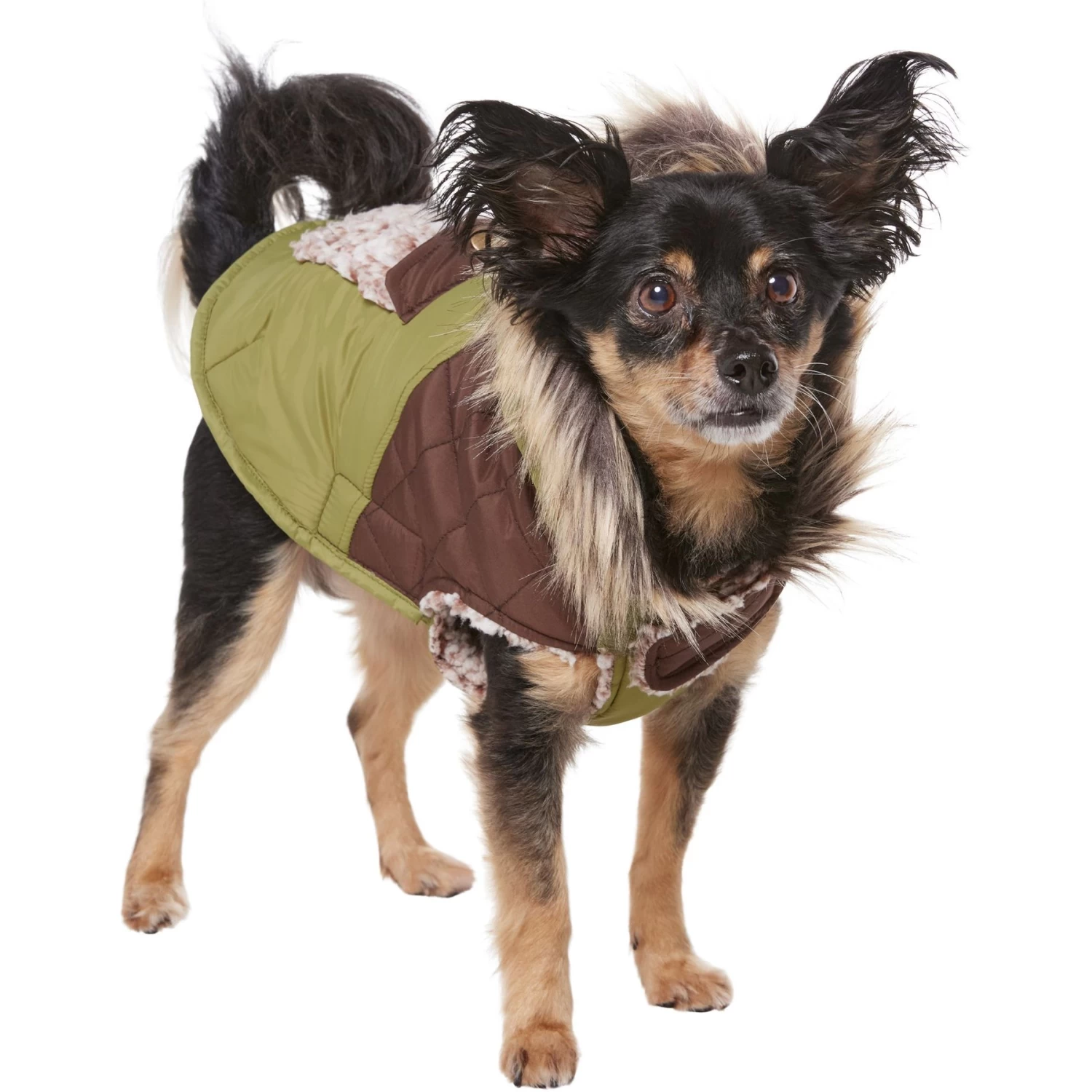 Frisco Heavy Weight 2-Tone Sherpa Lined Hybrid Quilted Dog & Cat Parka - Image 3