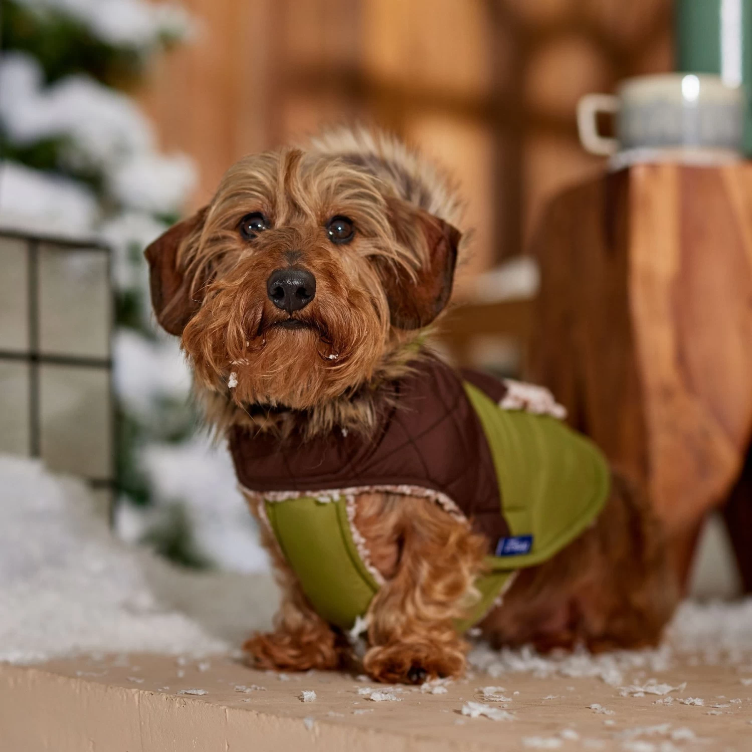 Frisco Heavy Weight 2-Tone Sherpa Lined Hybrid Quilted Dog & Cat Parka - Image 8