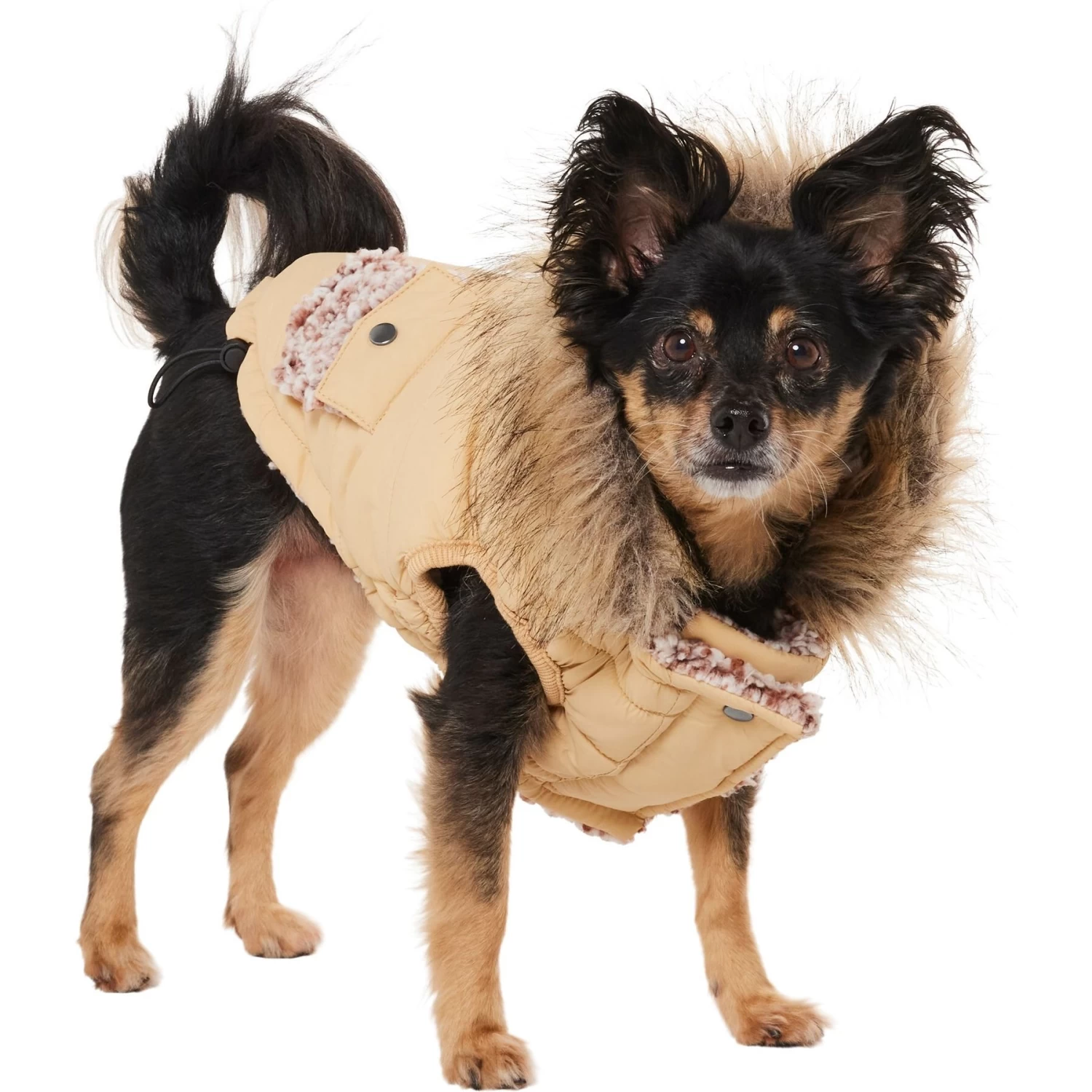 Frisco Heavy Weight Matte Quilted Dog & Cat Parka With Cozy Fleece Lining - Image 3