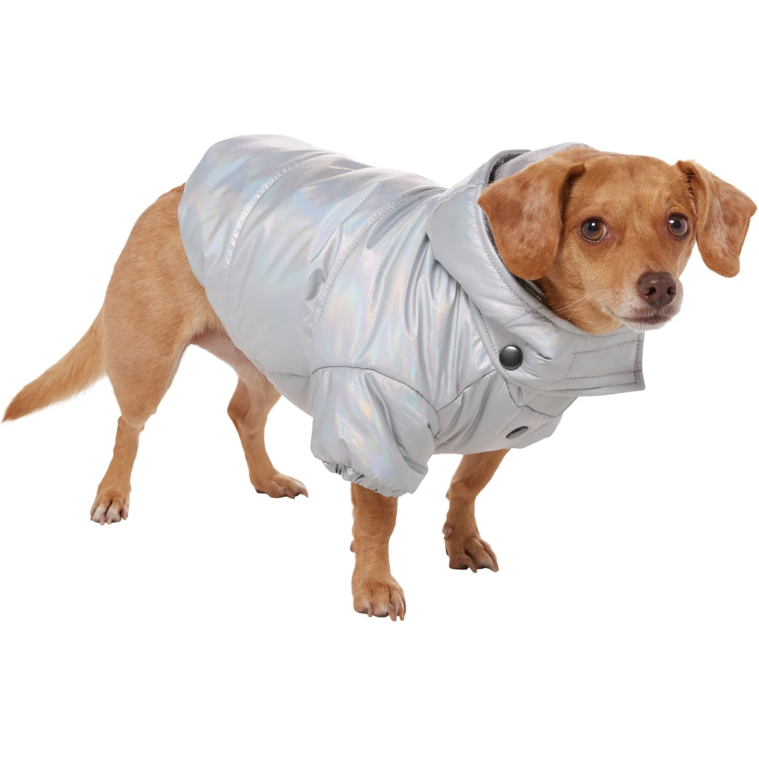Frisco Heavy Weight Iridescent Quilted Dog & Cat Hooded Puffer Coat - Image 3