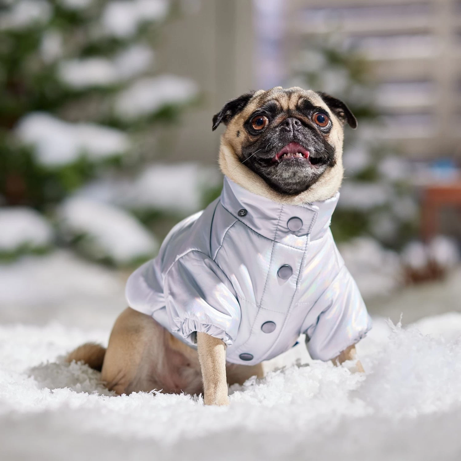 Frisco Heavy Weight Iridescent Quilted Dog & Cat Hooded Puffer Coat - Image 8