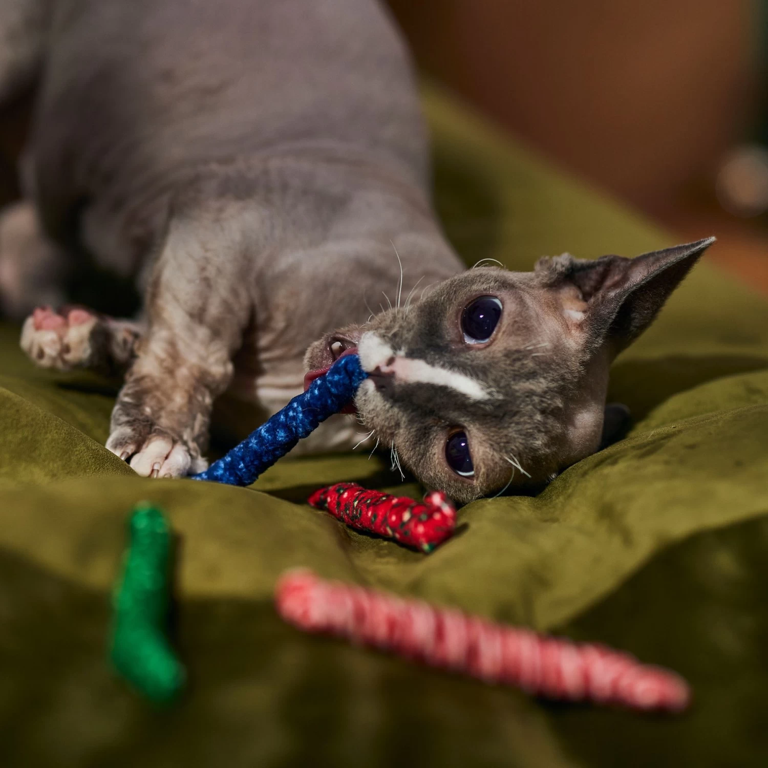 Frisco Holiday Festive Swatting Spirals Cat Toy - Image 3