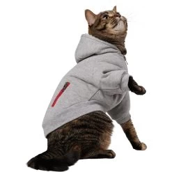 Frisco Sweatshirt Fleece Dog & Cat Hoodie With Sherpa Lining