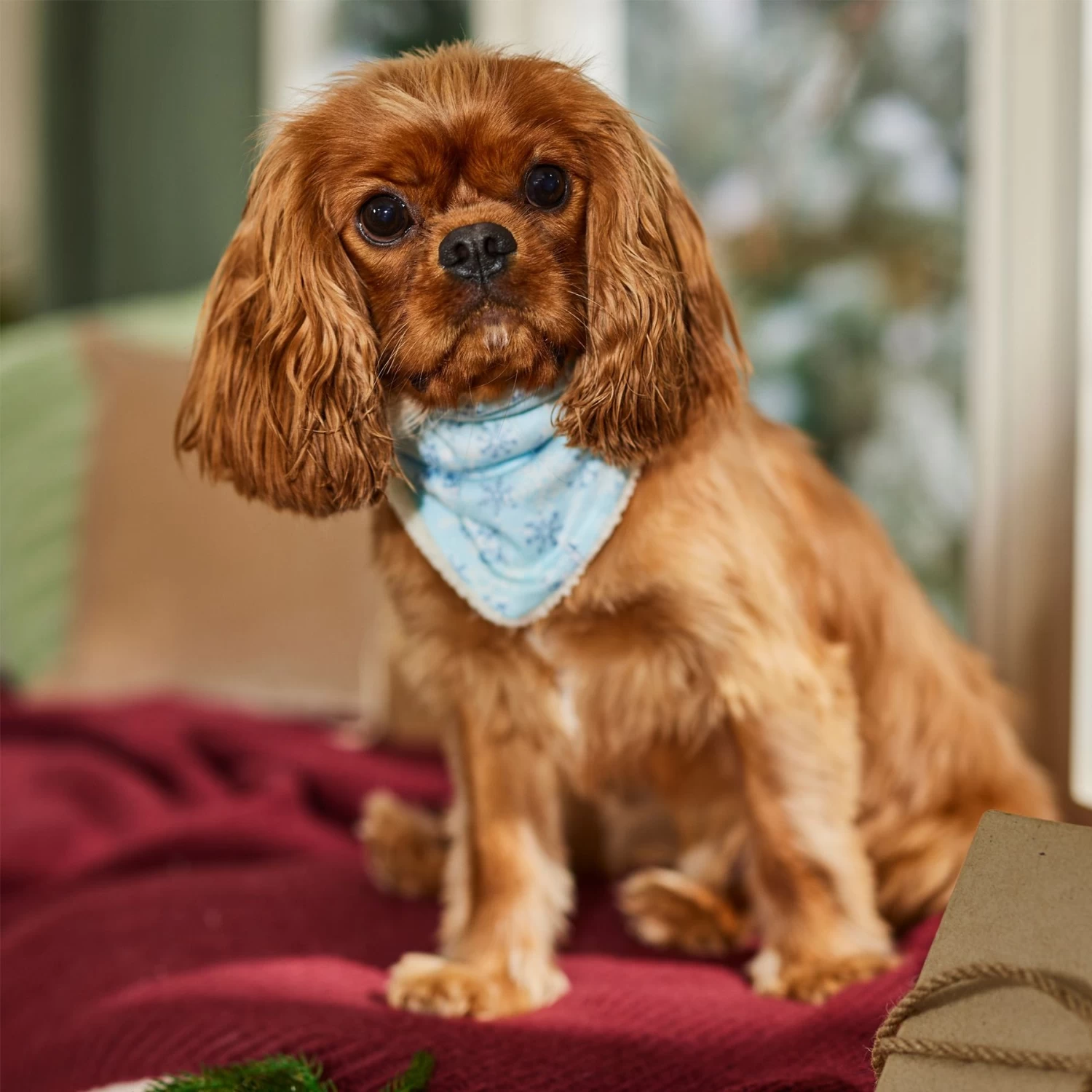 Frisco Reversible Snowflake Cozy Knit Faux Fur Dog & Cat Pullover Bandana, 1 Count - Image 6