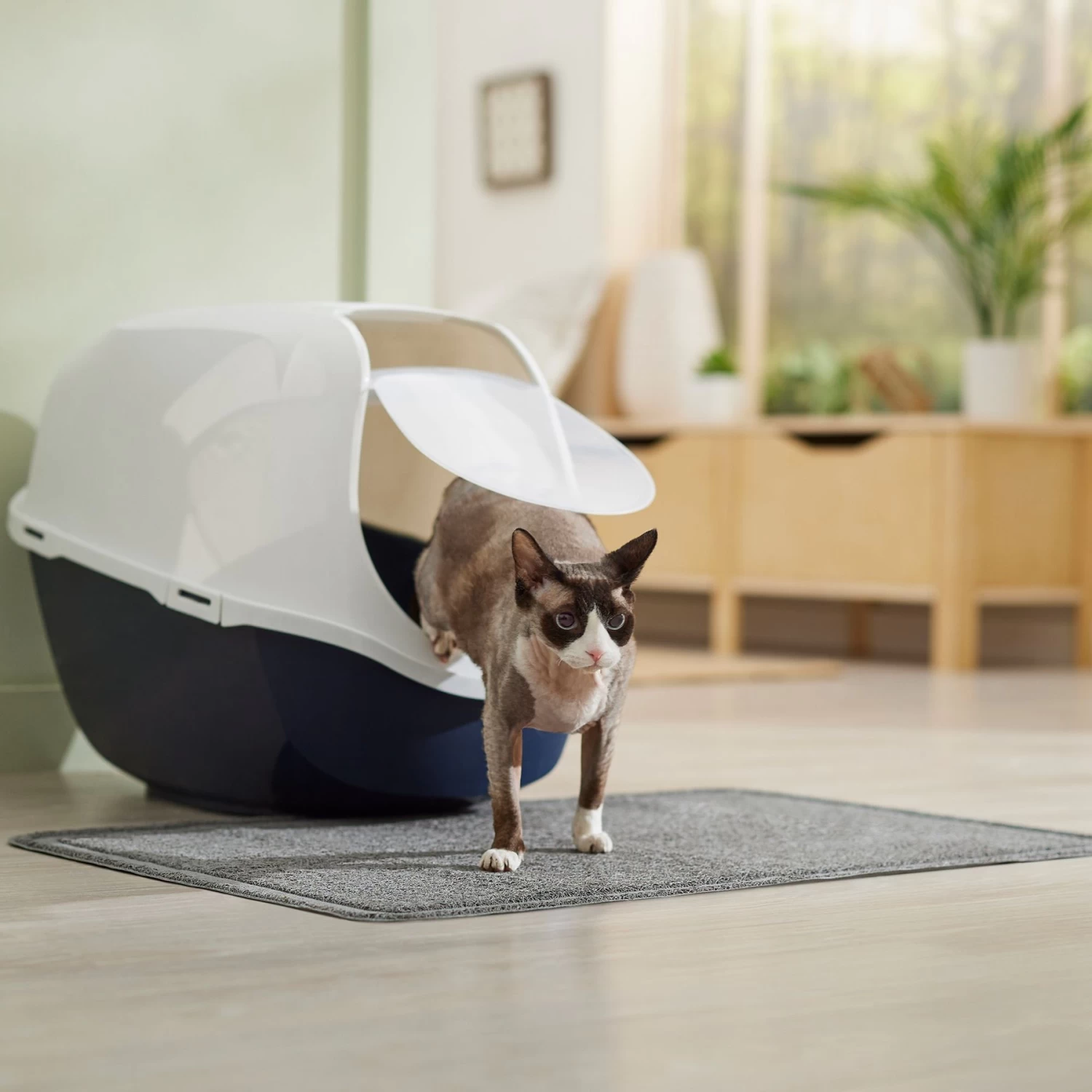 Frisco High Sided Cat Litter Box, Extra Large & Frisco Rectangular Cat Litter Mat - Image 9